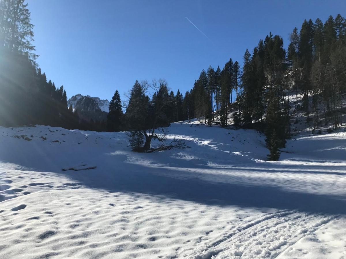SibratsgfällKraehenberg Am Rande Der Wildnisアパートメント エクステリア 写真