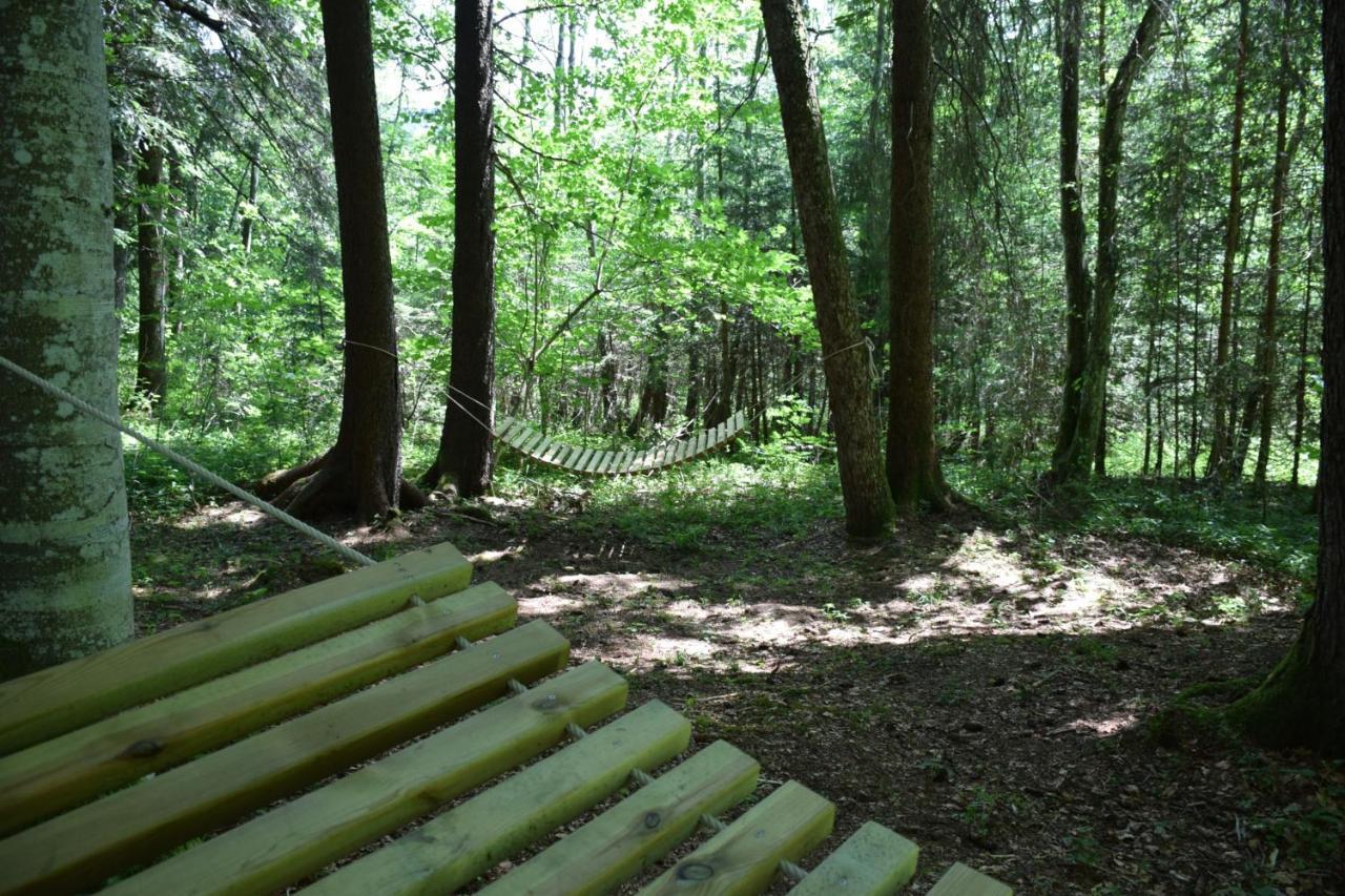 SibratsgfällKraehenberg Am Rande Der Wildnisアパートメント エクステリア 写真