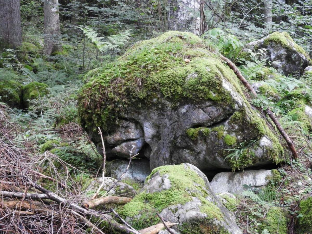 SibratsgfällKraehenberg Am Rande Der Wildnisアパートメント エクステリア 写真