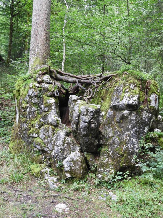 SibratsgfällKraehenberg Am Rande Der Wildnisアパートメント エクステリア 写真