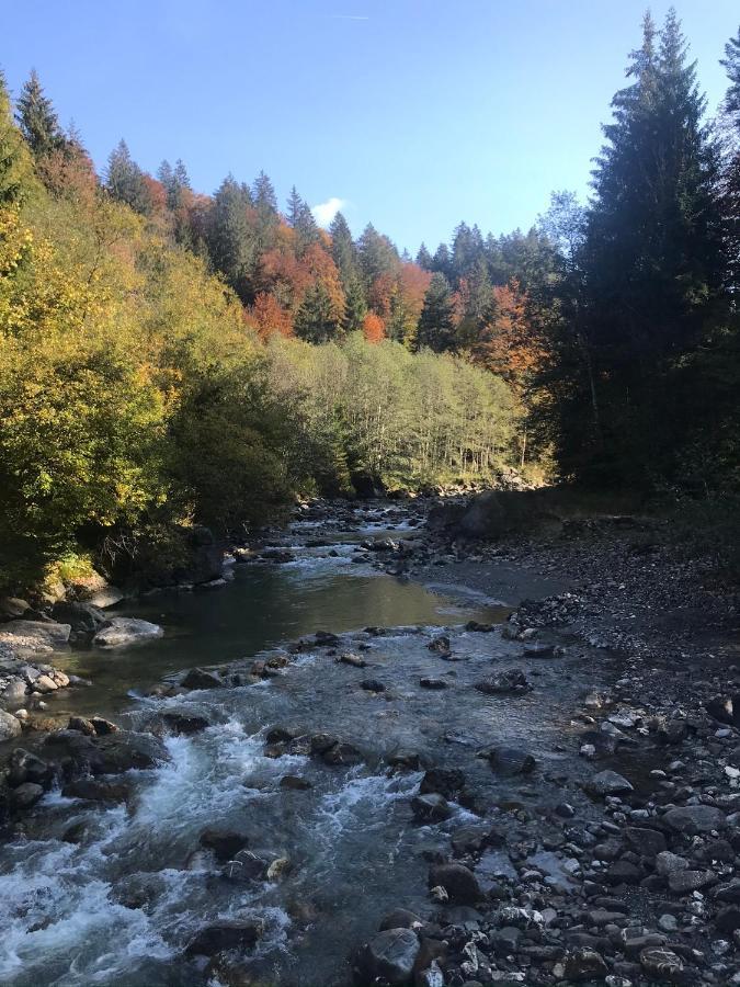 SibratsgfällKraehenberg Am Rande Der Wildnisアパートメント エクステリア 写真